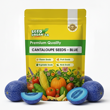 Cantaloupe Seeds – Blue