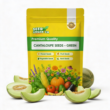 Cantaloupe Seeds – Green