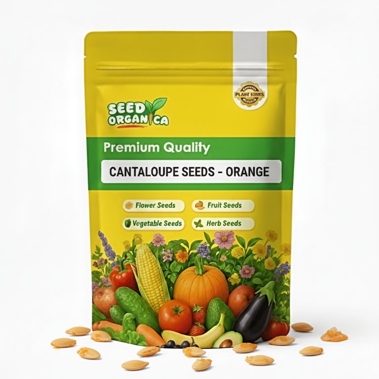 Cantaloupe Seeds – Orange