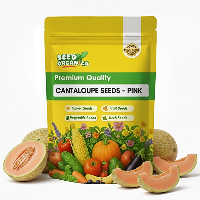 Cantaloupe Seeds – Pink