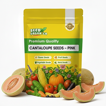 Cantaloupe Seeds – Pink