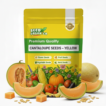Cantaloupe Seeds – Yellow
