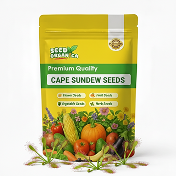 Cape Sundew Seeds