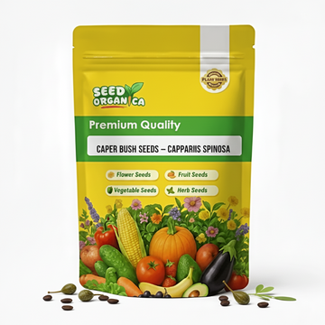 Caper Bush Seeds – Capparis Spinosa