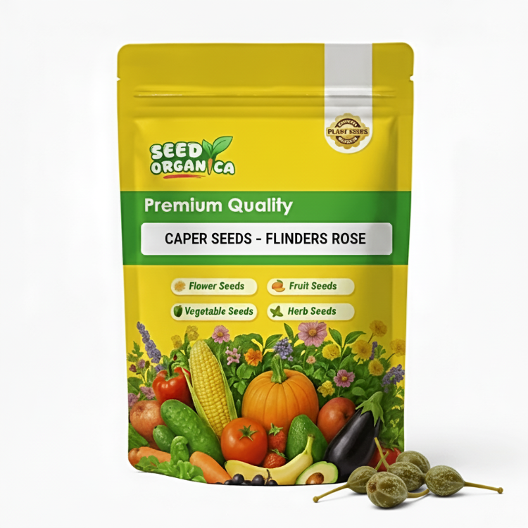Caper Seeds – Flinders Rose