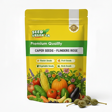 Caper Seeds – Flinders Rose