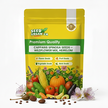 Capparis Spinosa Seeds – Wildflower Mix, Heirloom