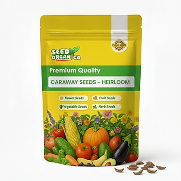 Caraway Seeds – Heirloom