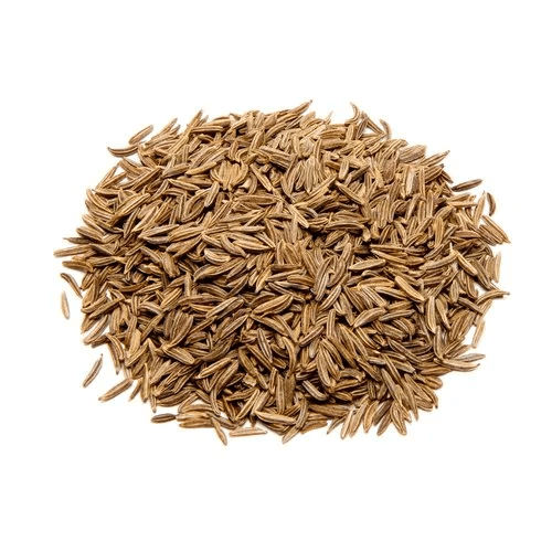 Caraway cumin Seeds – Arterner