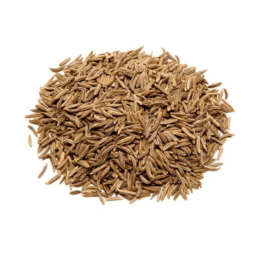 Caraway cumin Seeds – Arterner