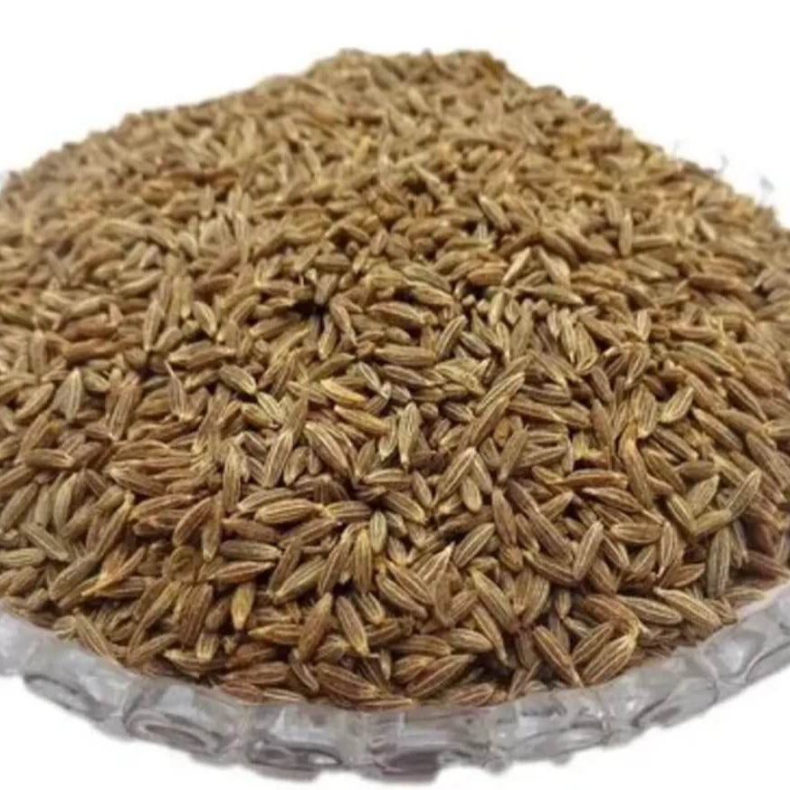 Caraway cumin Seeds – Arterner
