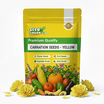 Carnation Seeds - Yellow