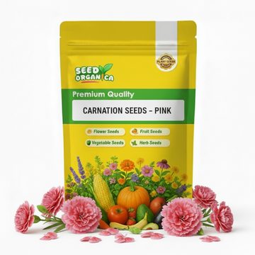Carnation Seeds – Pink