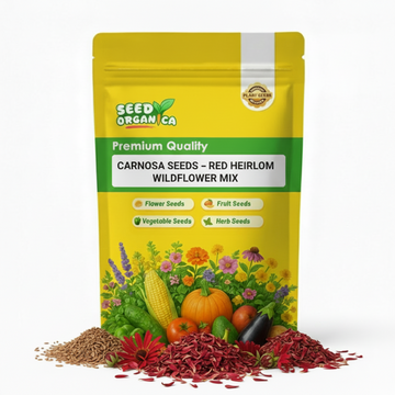 Carnosa Seeds – Red Heirloom Wildflower Mix
