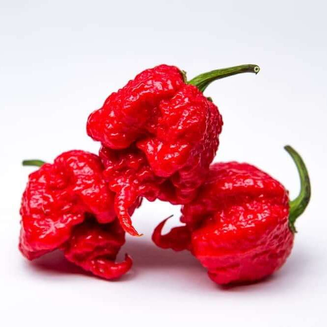 Carolina Reaper Pepper Seeds – High Heat