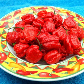 Carolina Reaper Pepper Seeds – High Heat