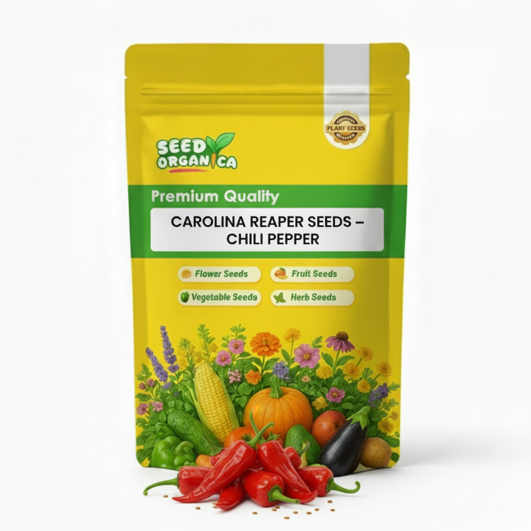 Carolina Reaper Seeds – Chili Pepper