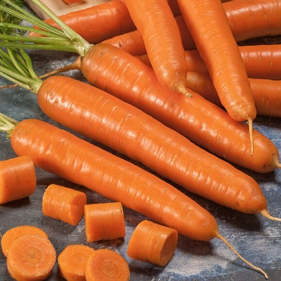 Carrot Seeds – Bambina