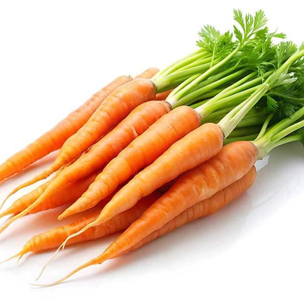 Carrot Seeds – Little Finger