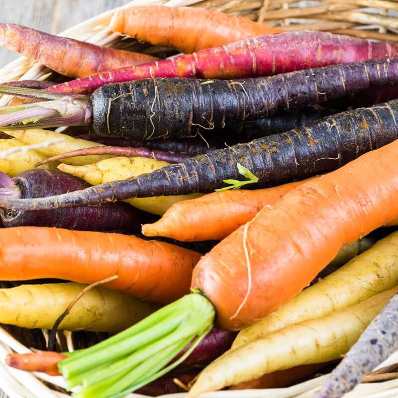 Carrot Seeds – Mixed Colors