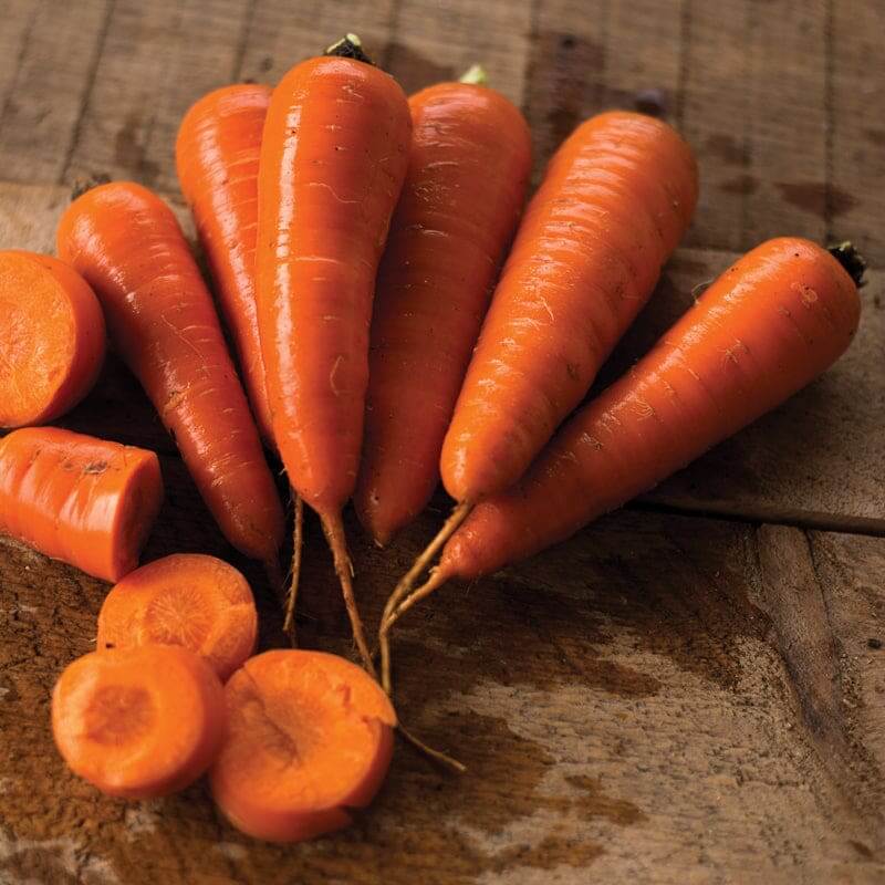 Carrot Seeds – Red Cored Chantenay 