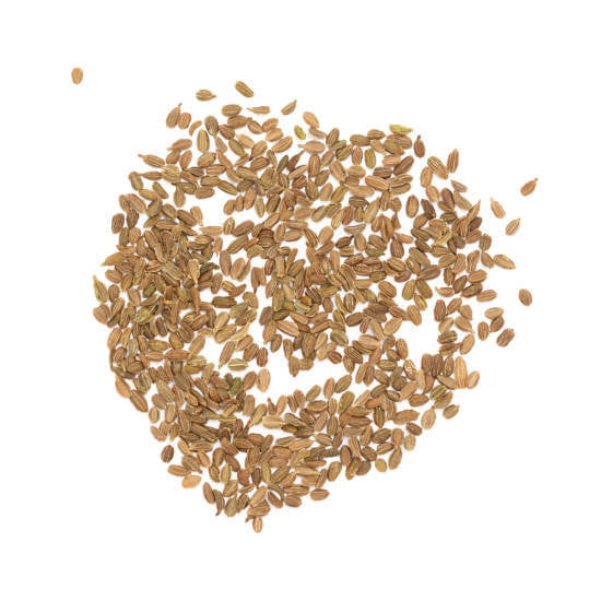 Carrot Seeds - All In One For Home Gardens