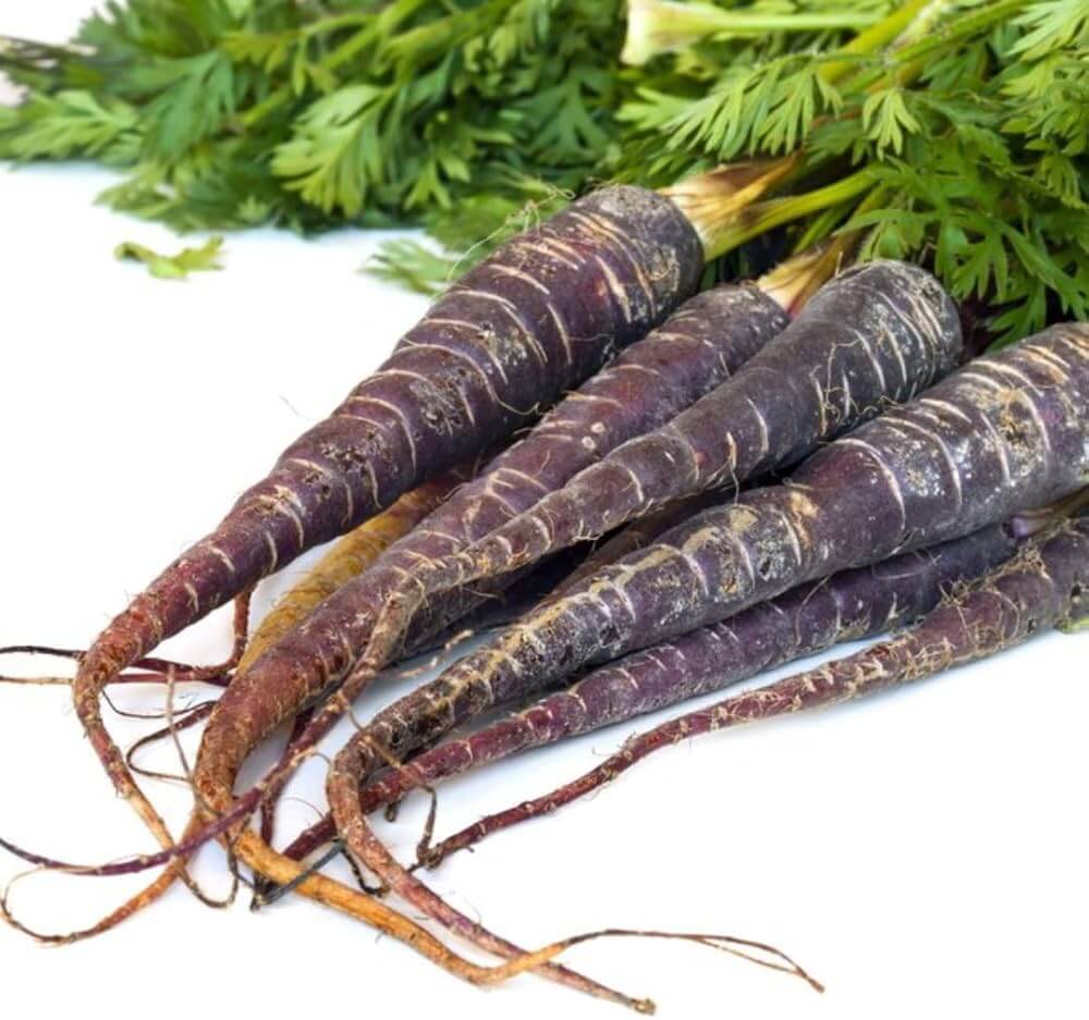 Carrot Seeds – Black