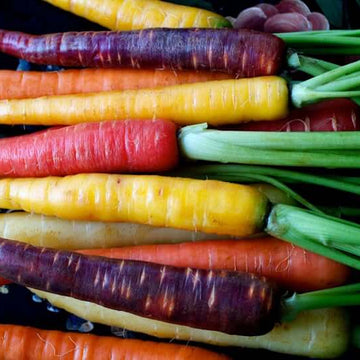 Carrot Seeds – Mixed Colors