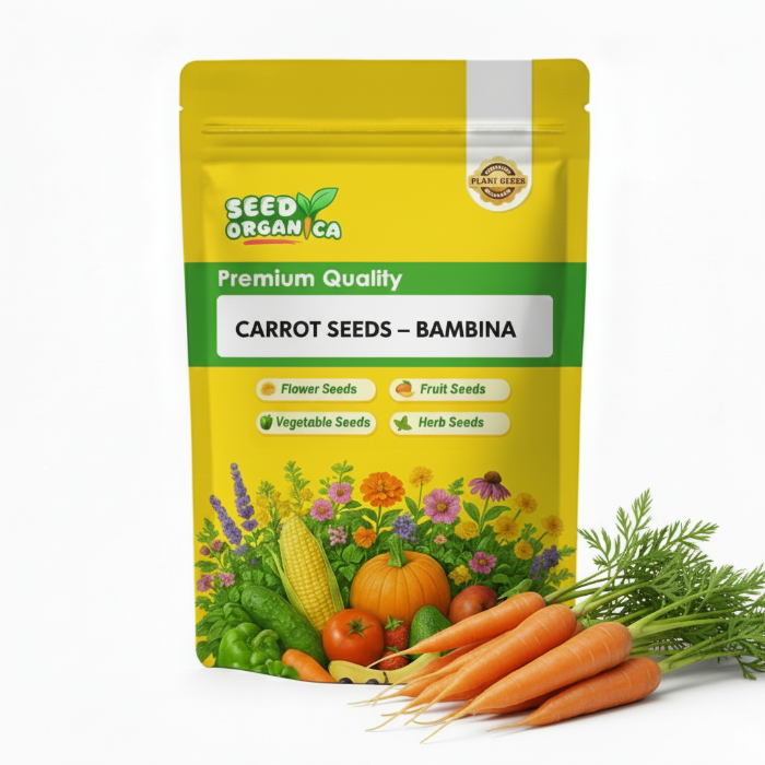 Carrot Seeds – Bambina