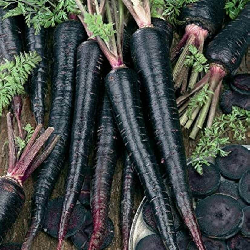 Carrot Seeds – Black