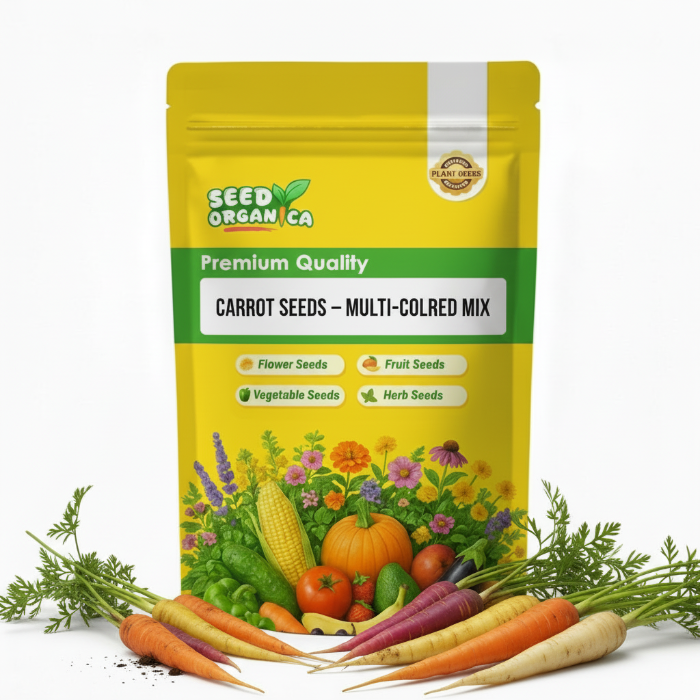 Carrot Seeds – Multi-Colored Mix
