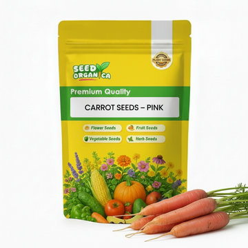 Carrot Seeds – Pink