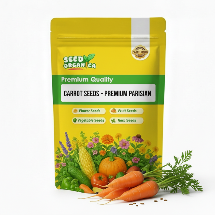 Carrot Seeds – Premium Parisian