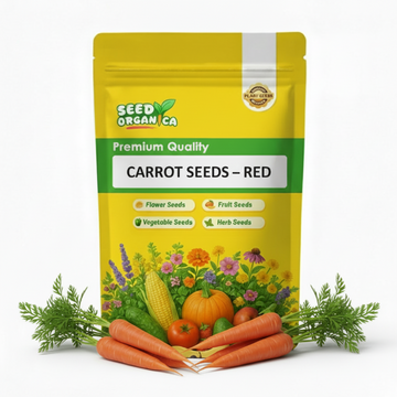 Carrot Seeds – Red