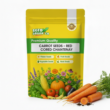 Carrot Seeds – Red Cored Chantenay