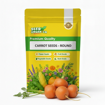 Carrot Seeds – Round