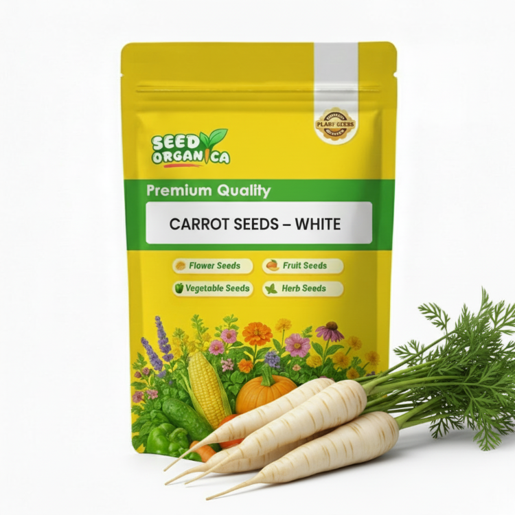 Carrot Seeds – White