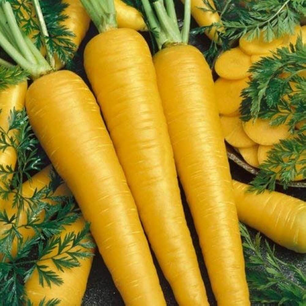 Carrot Seeds – Yellow