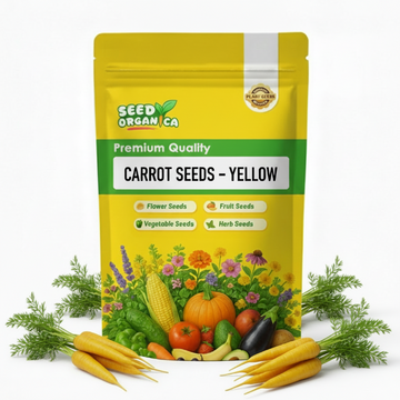 Carrot Seeds – Yellow
