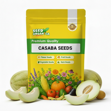 Casaba Seeds