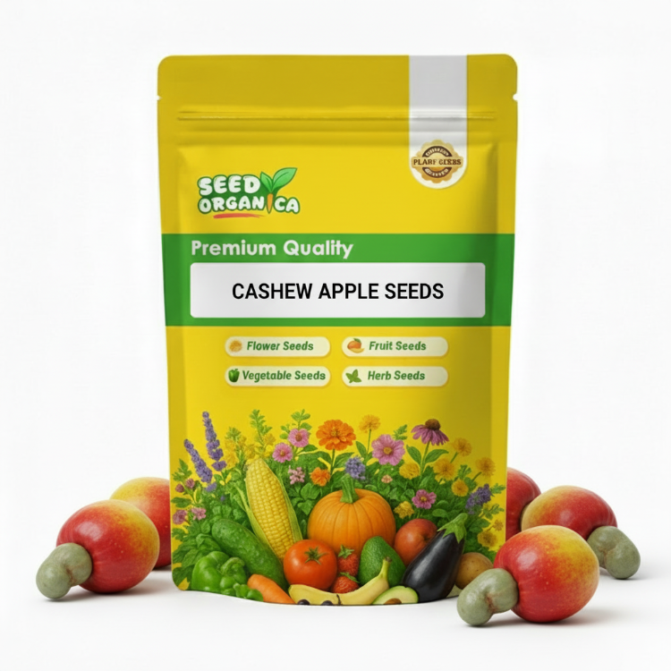 Cashew Apple Seeds