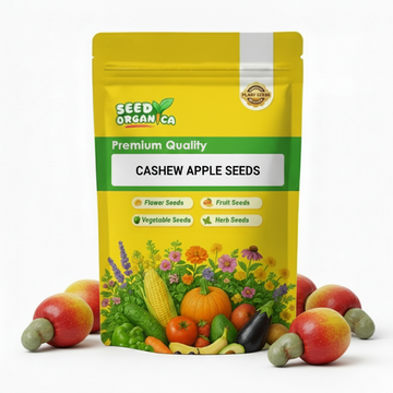 Cashew Apple Seeds