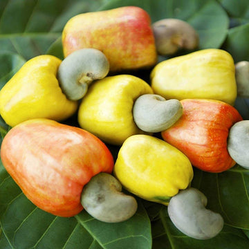 Cashew Apple Seeds - Red Yellow