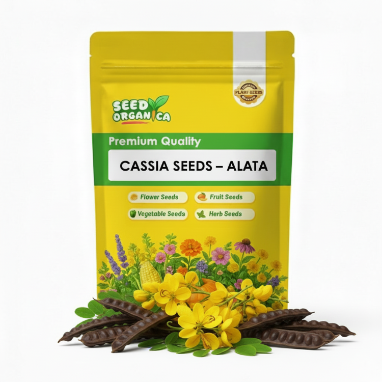 Cassia Seeds – Alata