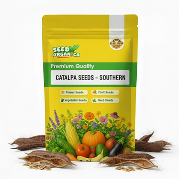 Catalpa Seeds – Southern