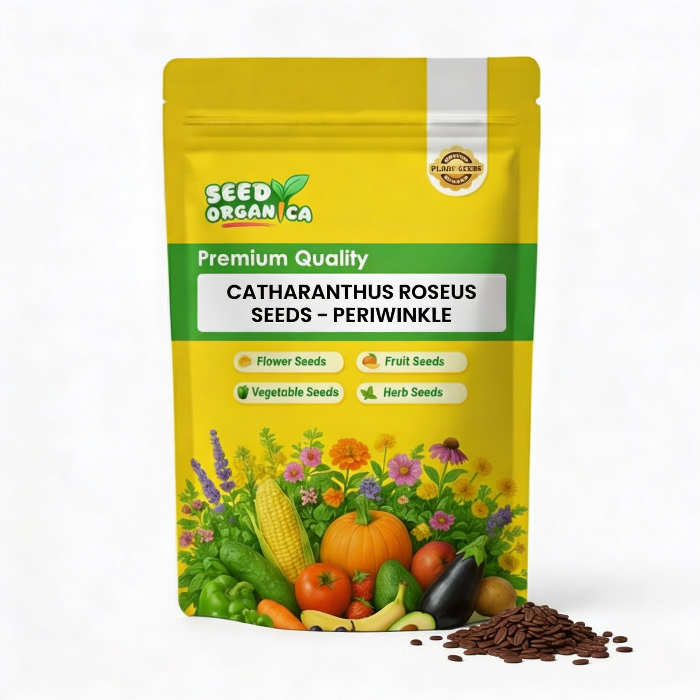 Catharanthus roseus seeds–  Periwinkle