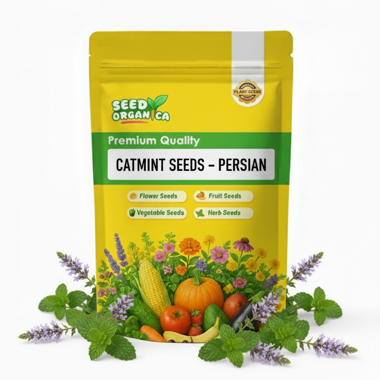 Catmint Seeds – Persian