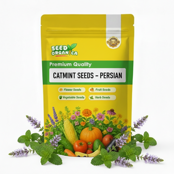 Catmint Seeds – Persian