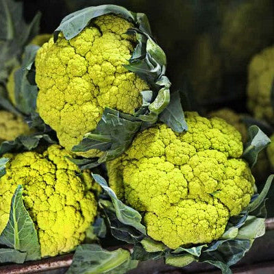Cauliflower Seeds – Green Macerata
