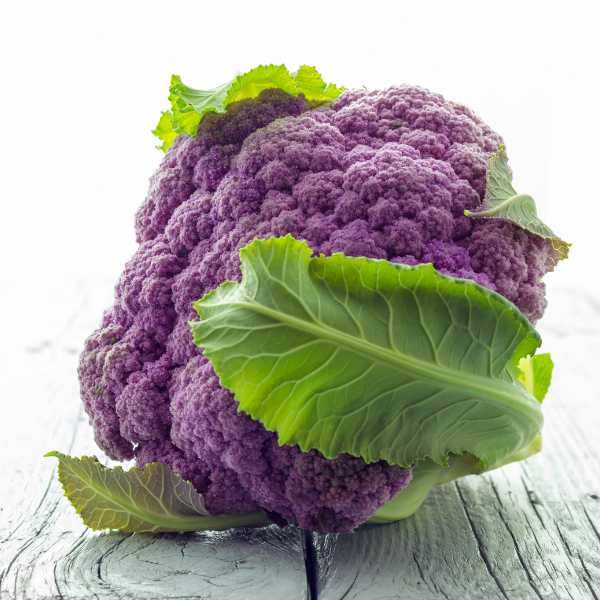 Cauliflower Seeds – Purple Sicily
